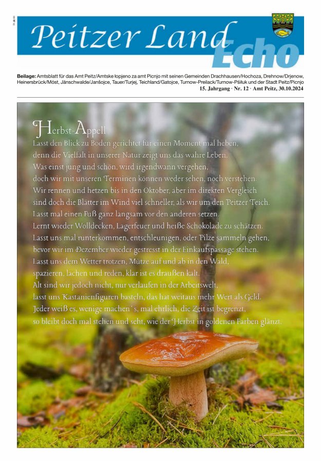 Peitzer LandEcho - Beilage: Amtsblatt für das Amt Peitz mit seinen Gemeinden Titelblatt 12/2024