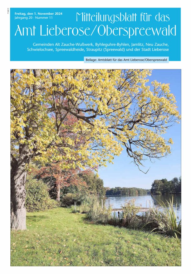 Mitteilungsblatt – Amtsblatt für das Amt Lieberose/Oberspreewald Titelblatt 11/2024