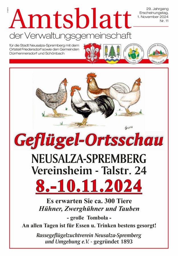 Amtsblatt der Verwaltungsgemeinschaft für die Stadt Neusalza-Spremberg Titelblatt 11/2024