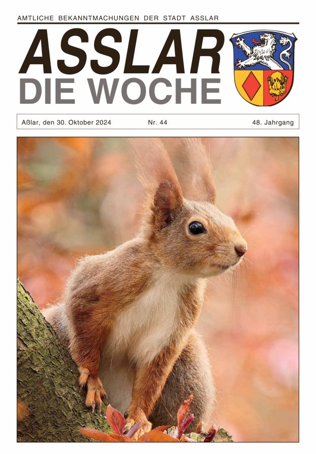Asslar - Die Woche Titelblatt 44/2024