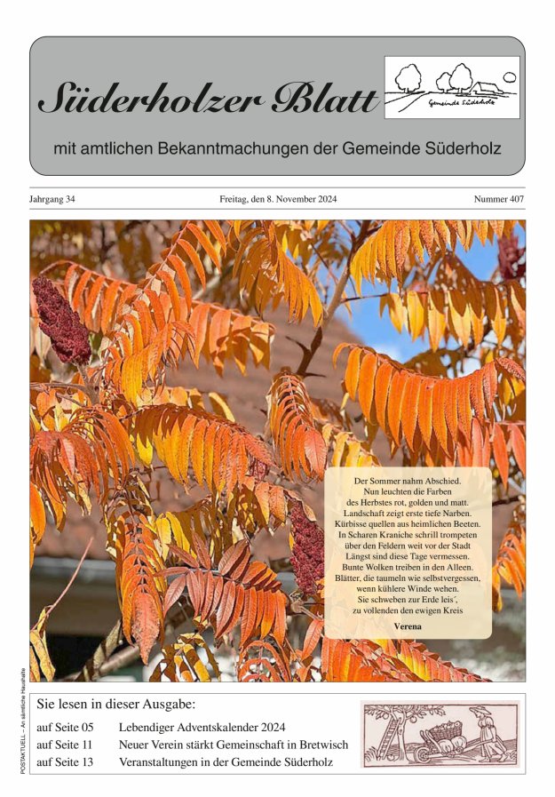 Süderholzer Blatt Titelblatt 407/2024