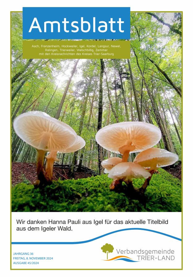 Amtsblatt VG Trier-Land Titelblatt 45/2024