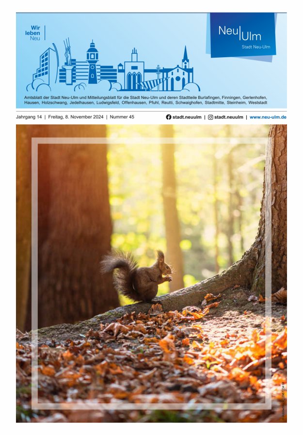 Amtsblatt der Stadt Neu-Ulm und Mitteilungsblatt für die Stadt Neu-Ulm Titelblatt 45/2024