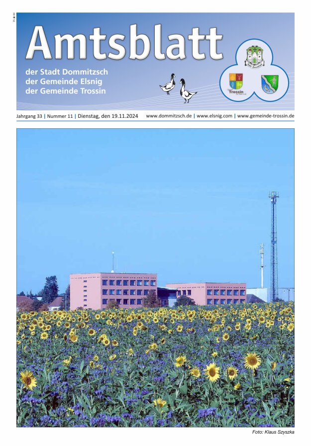 Dommitzsch Info - Amtsblatt der Stadt Dommitzsch der Gemeinden Elsnig und Trossin Titelblatt 11/2024