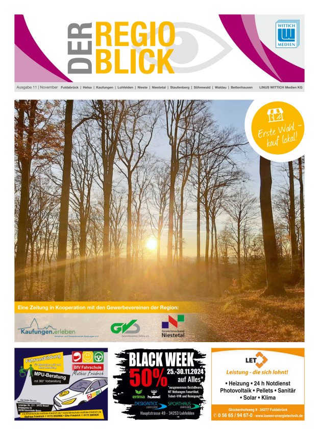Regioblick Titelblatt 11/2024