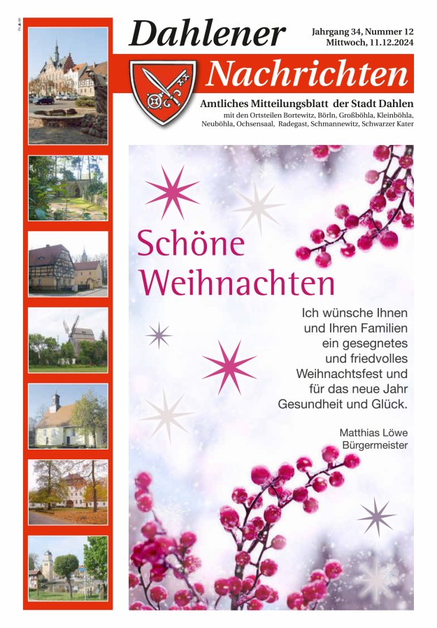 Dahlener Nachrichten - Amtliches Mitteilungsblatt der Stadt Dahlen Titelblatt 12/2024