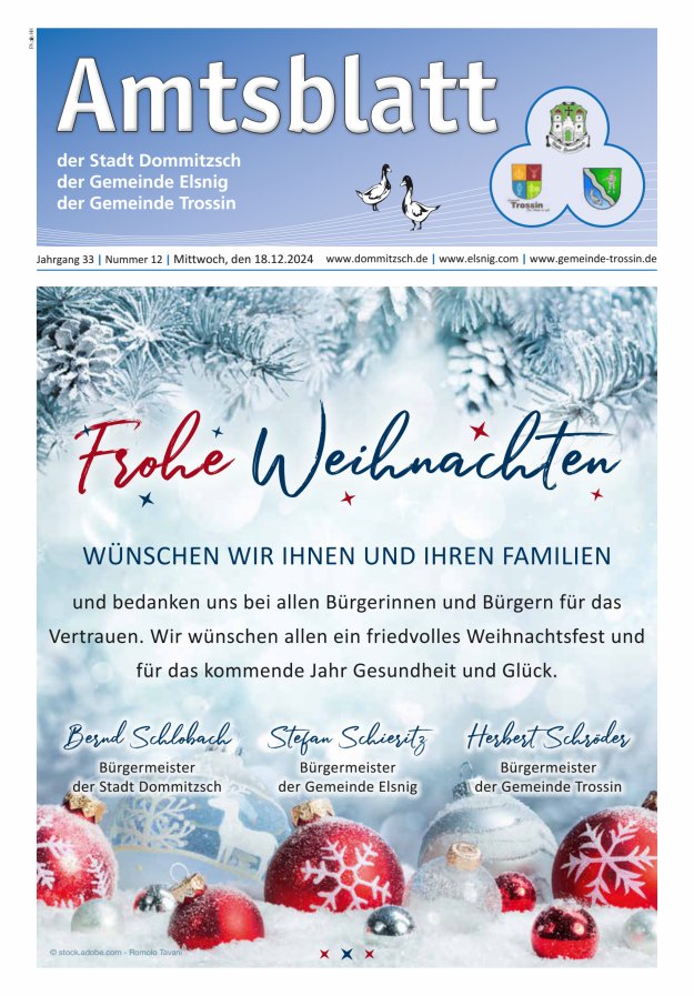 Dommitzsch Info - Amtsblatt der Stadt Dommitzsch der Gemeinden Elsnig und Trossin Titelblatt 12/2024