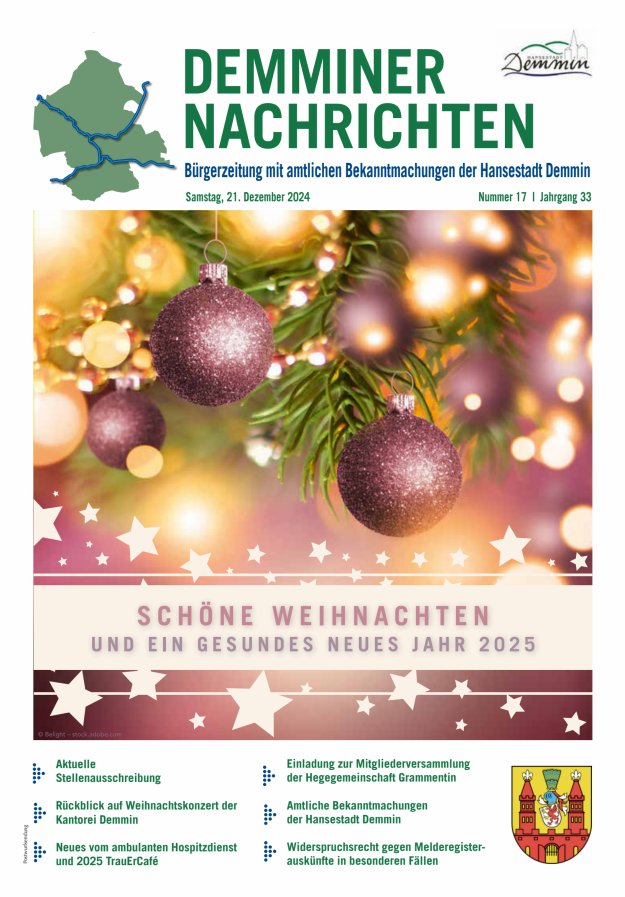 Demminer Nachrichten Titelblatt 17/2024