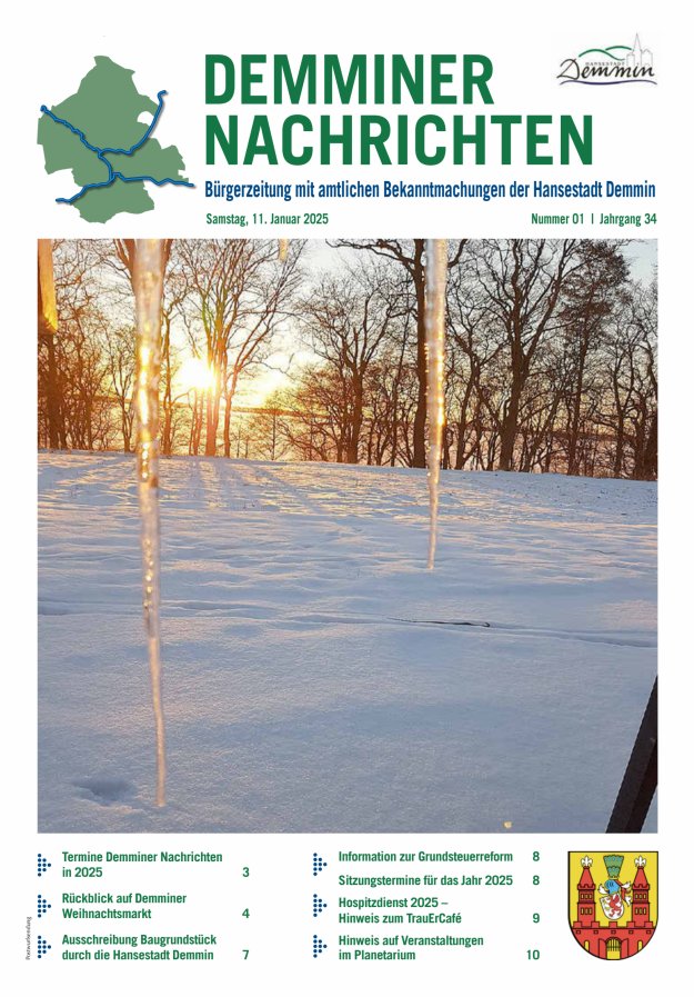 Demminer Nachrichten Titelblatt 01/2025