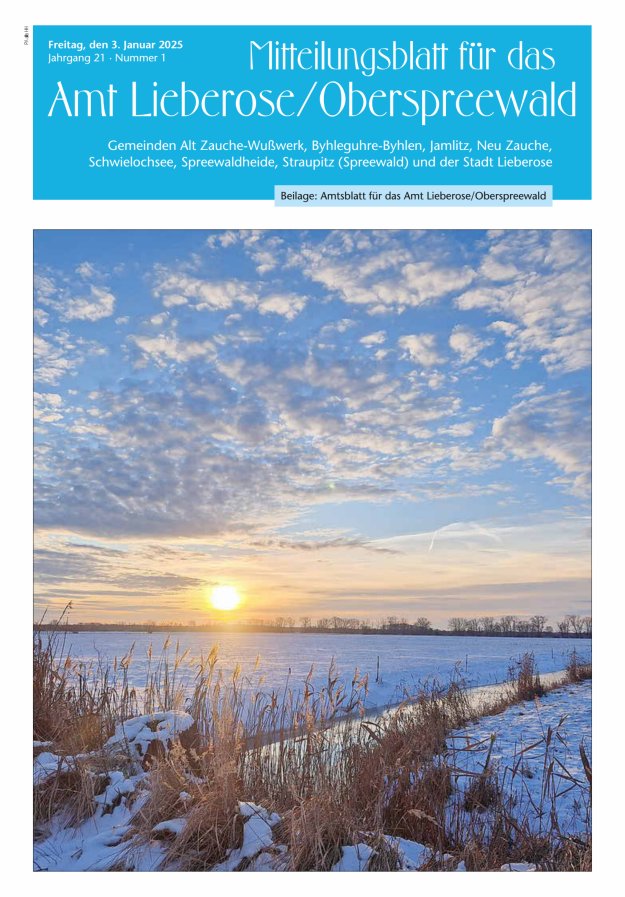 Mitteilungsblatt – Amtsblatt für das Amt Lieberose/Oberspreewald Titelblatt 01/2025