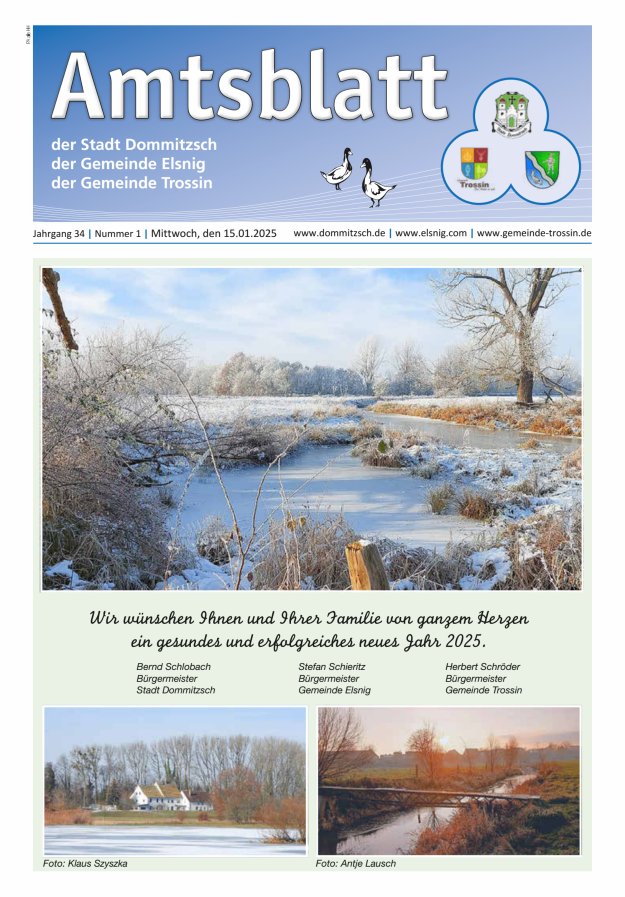 Dommitzsch Info - Amtsblatt der Stadt Dommitzsch der Gemeinden Elsnig und Trossin Titelblatt 01/2025