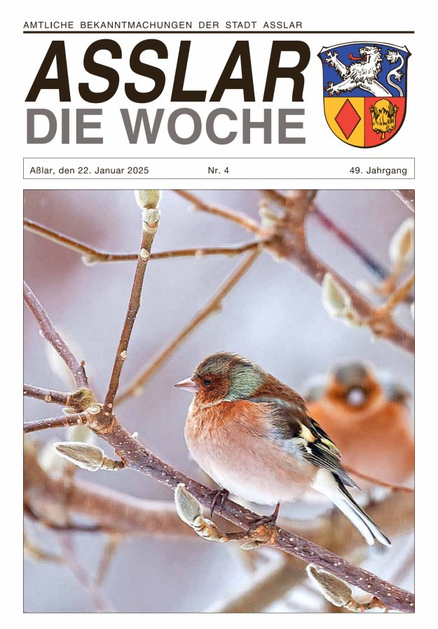 Asslar - Die Woche Titelblatt 04/2025