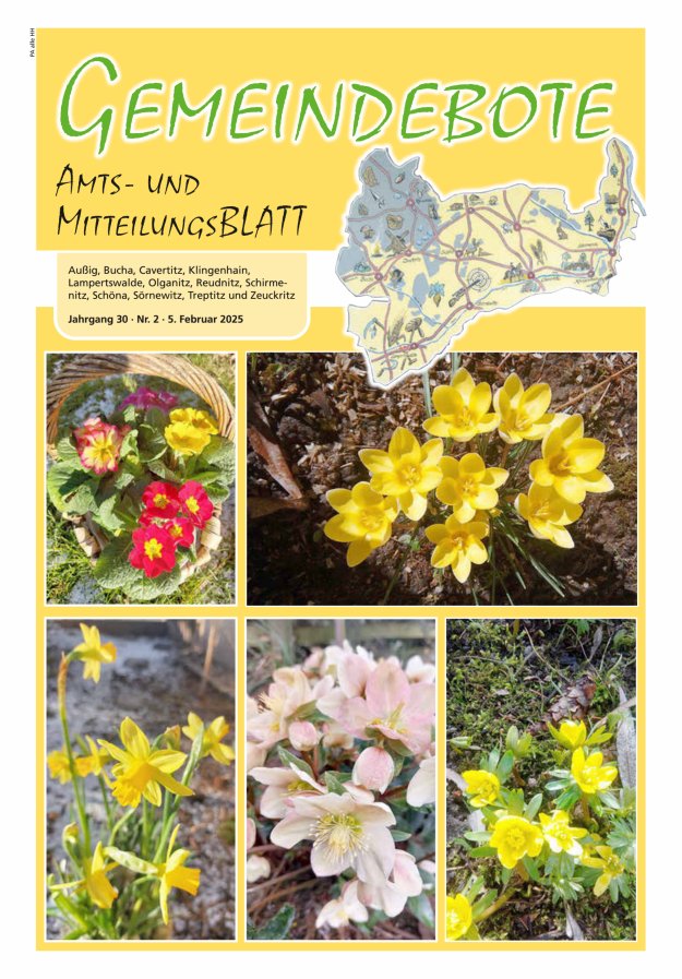 Gemeindebote - Amts- und Mitteilungsblatt Titelblatt 02/2025