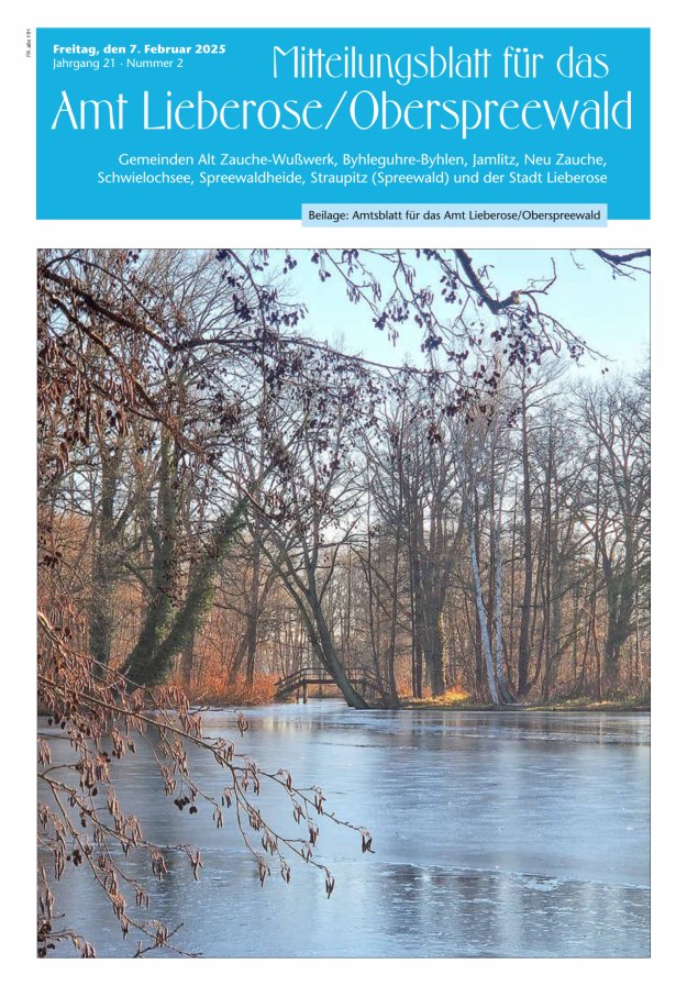Mitteilungsblatt – Amtsblatt für das Amt Lieberose/Oberspreewald Titelblatt 02/2025