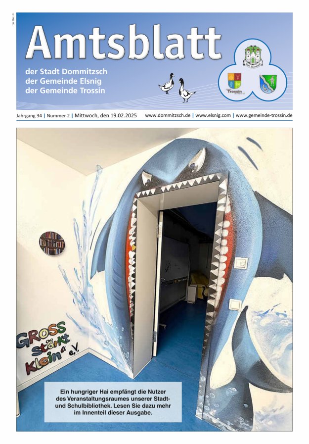 Dommitzsch Info - Amtsblatt der Stadt Dommitzsch der Gemeinden Elsnig und Trossin Titelblatt 02/2025