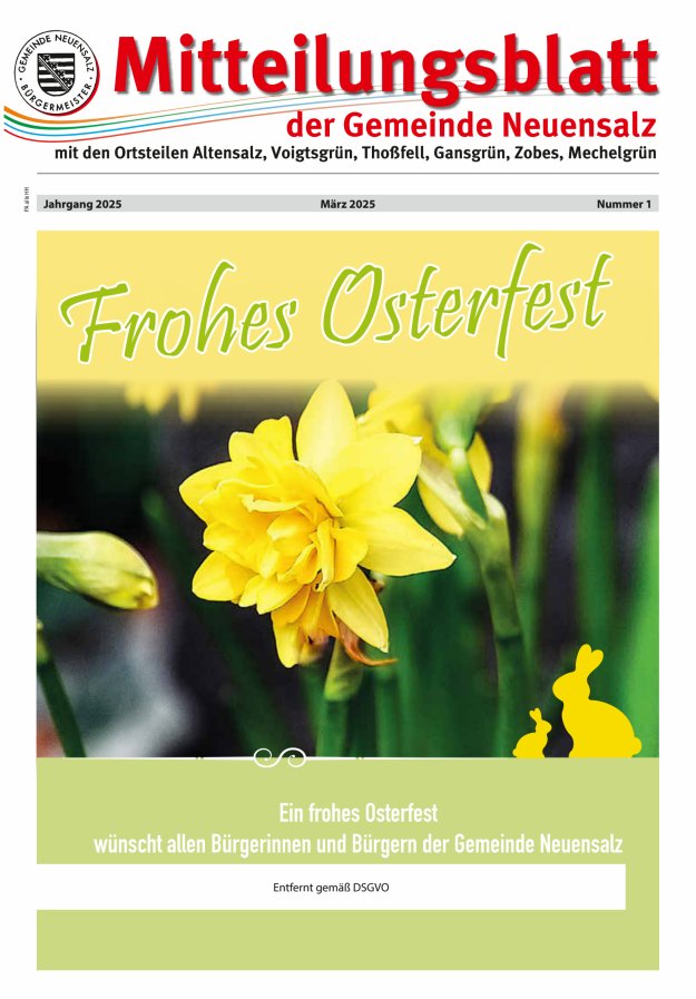 Mitteilungsblatt der Gemeinde Neuensalz Titelblatt 01/2025