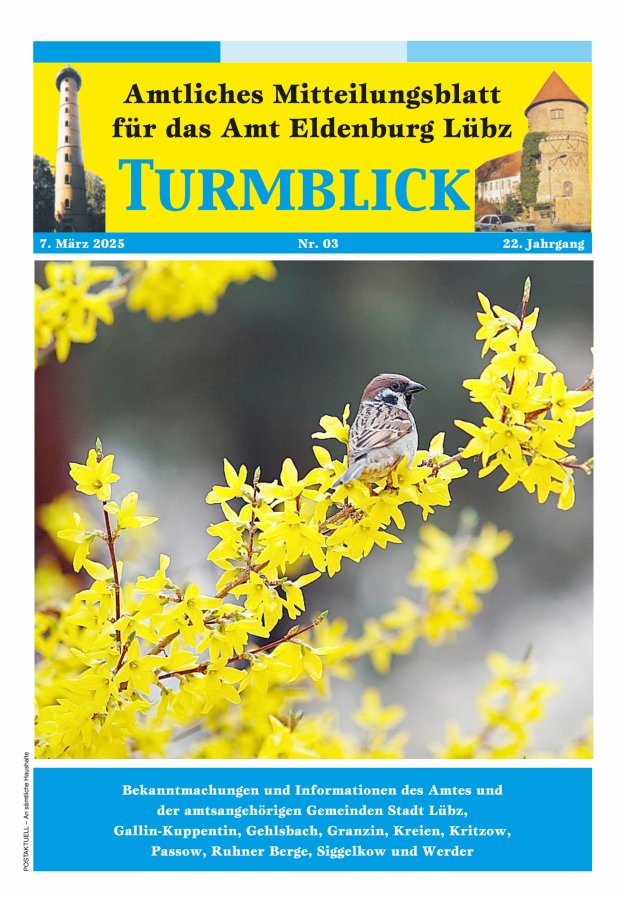 Turmblick Titelblatt 03/2025