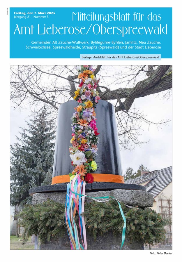 Mitteilungsblatt – Amtsblatt für das Amt Lieberose/Oberspreewald Titelblatt 03/2025