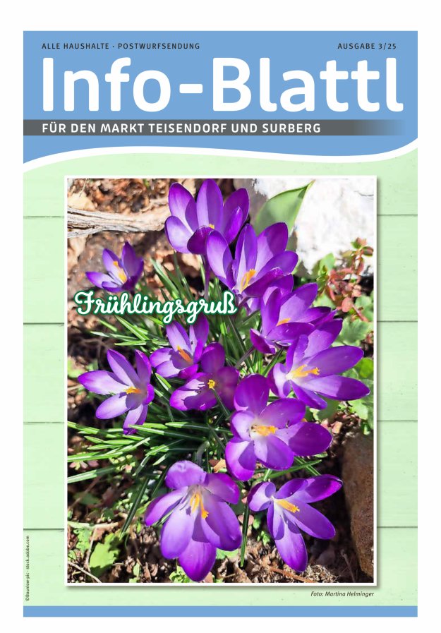 Infoblattl Teisendorf Titelblatt 03/2025