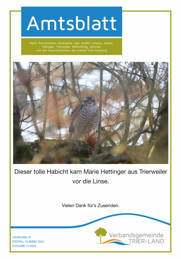 Amtsblatt VG Trier-Land Titelblatt 11/2025