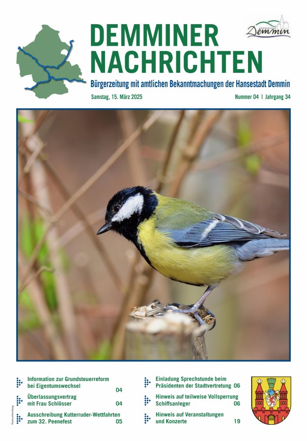 Demminer Nachrichten Titelblatt 04/2025