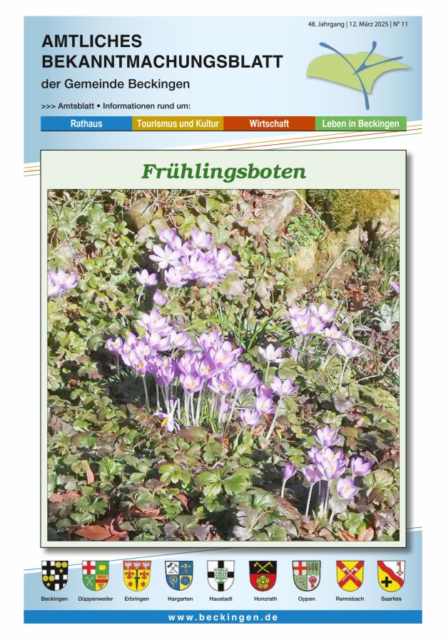 Amtsblatt Beckingen Titelblatt 11/2025