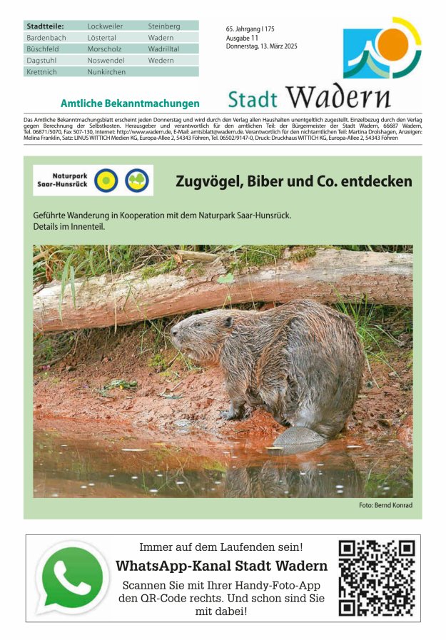 Stadt Wadern Titelblatt 11/2025