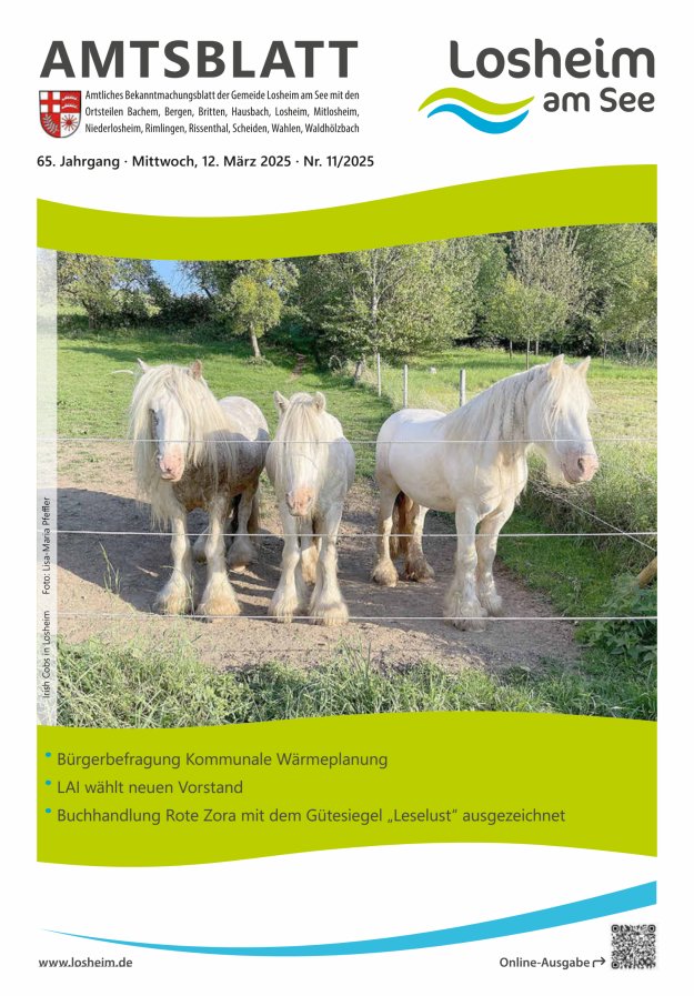 Amtliches Bekanntmachungsblatt der Gemeinde Losheim am See Titelblatt 11/2025