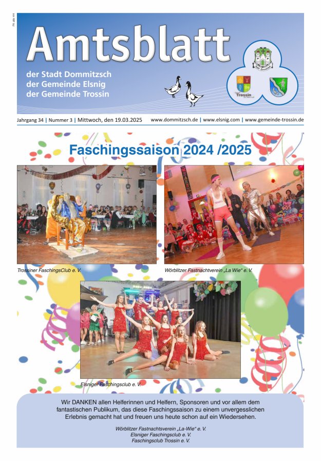 Dommitzsch Info - Amtsblatt der Stadt Dommitzsch der Gemeinden Elsnig und Trossin Titelblatt 03/2025