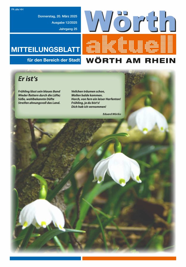 Wörth aktuell Titelblatt 11/2025