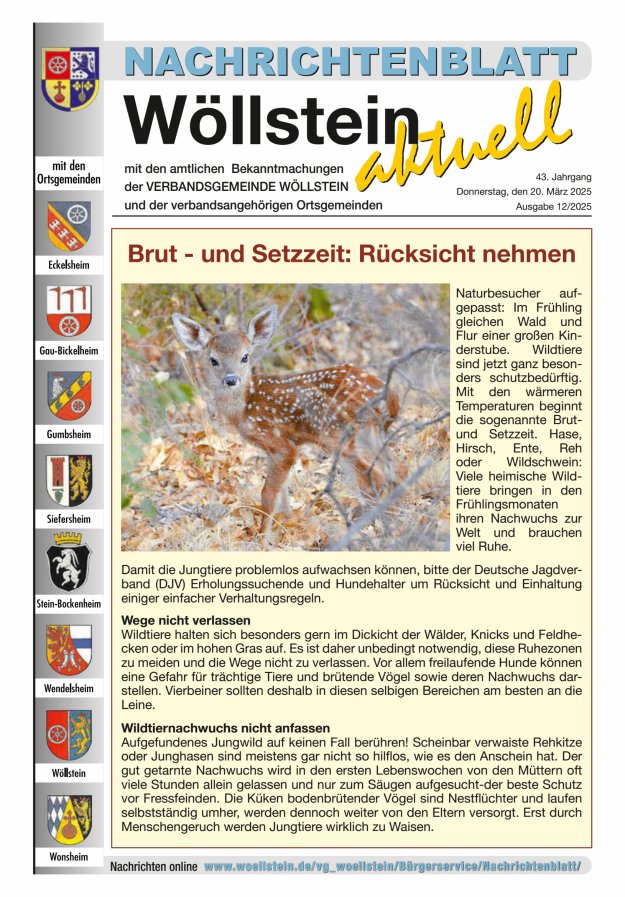 Nachrichtenblatt Wöllstein aktuell Titelblatt 12/2025