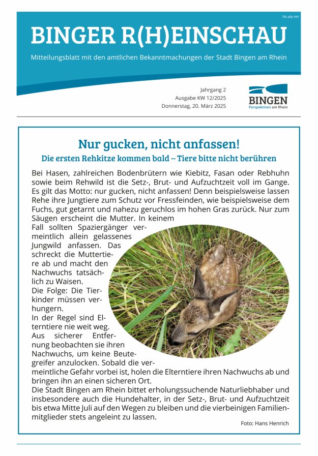 Binger R(h)einschau - Mitteilungsblatt mit den Amtlichen Bekanntmachungen der Stadt Bingen Titelblatt 12/2025
