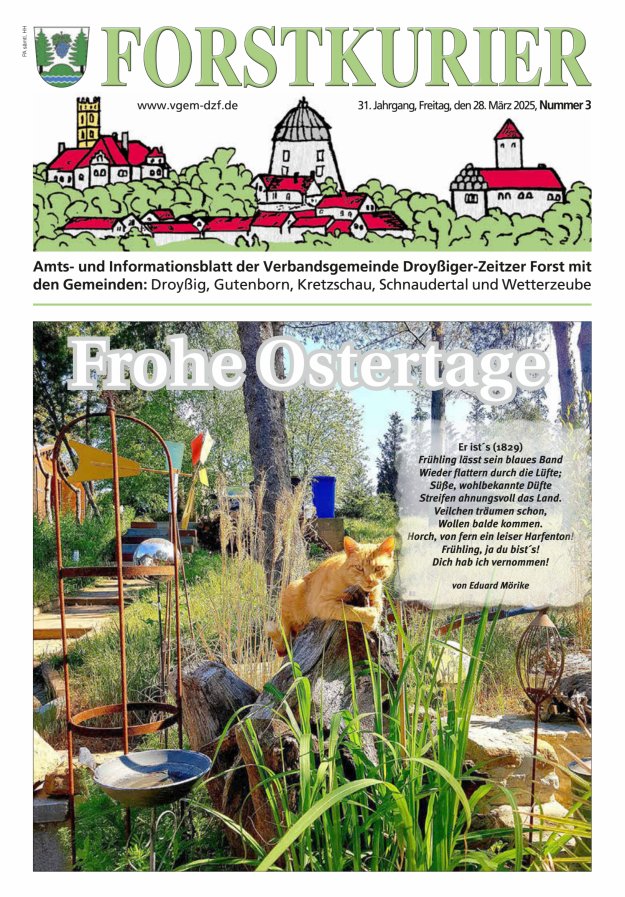 Forstkurier Amts- u. Informationsblatt VG Droyßiger-Zeitzer Forst Titelblatt 03/2025