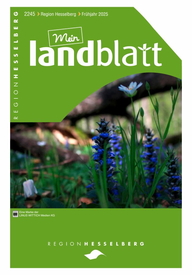 Mein Landblatt Hesselberg Titelblatt 13/2025