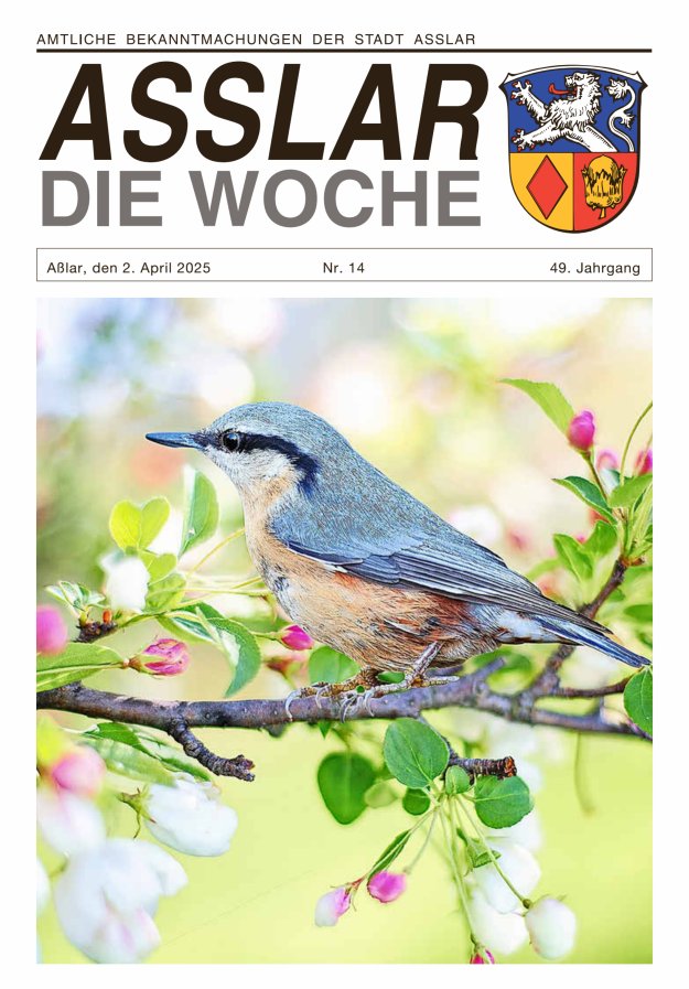 Asslar - Die Woche Titelblatt 14/2025