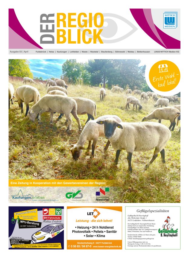 Regioblick Titelblatt 03/2025