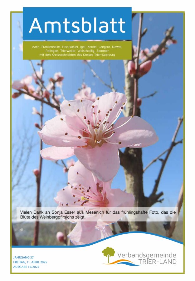 Amtsblatt VG Trier-Land Titelblatt 15/2025