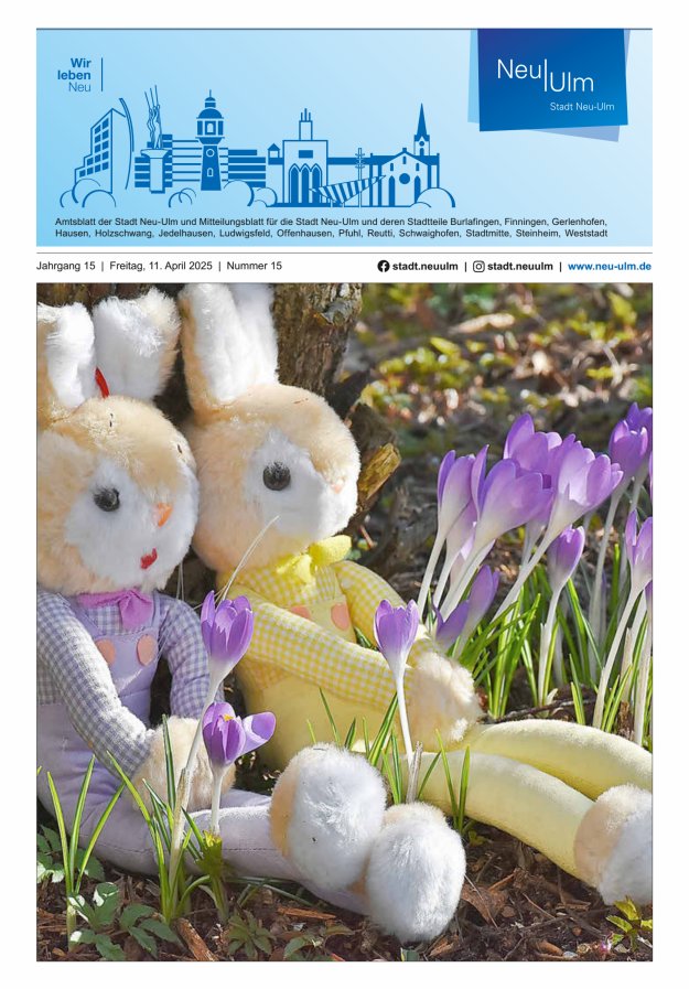 Amtsblatt der Stadt Neu-Ulm und Mitteilungsblatt für die Stadt Neu-Ulm Titelblatt 15/2025