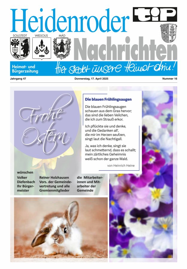 "tip" Heidenroder Nachrichten Titelblatt 16/2025