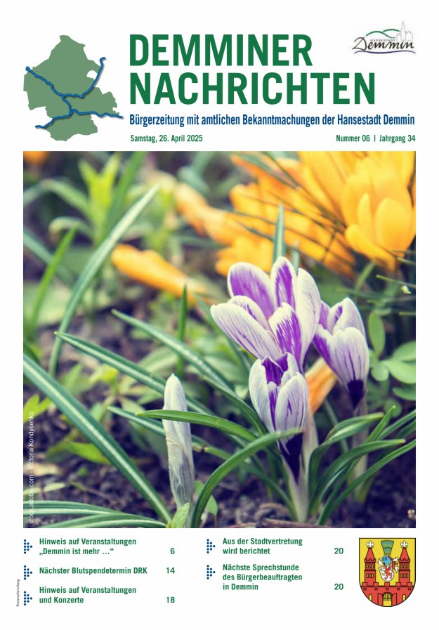 Demminer Nachrichten Titelblatt 06/2025