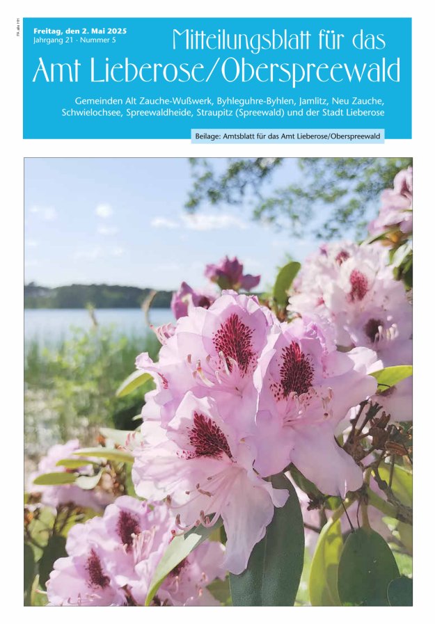 Mitteilungsblatt – Amtsblatt für das Amt Lieberose/Oberspreewald Titelblatt 05/2025