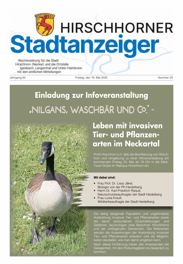 Hirschhorner Stadtanzeiger Titelblatt 20/2025