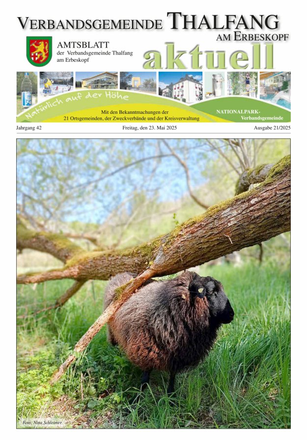 Thalfang aktuell - Amtsblatt VG Thalfang Titelblatt 21/2025