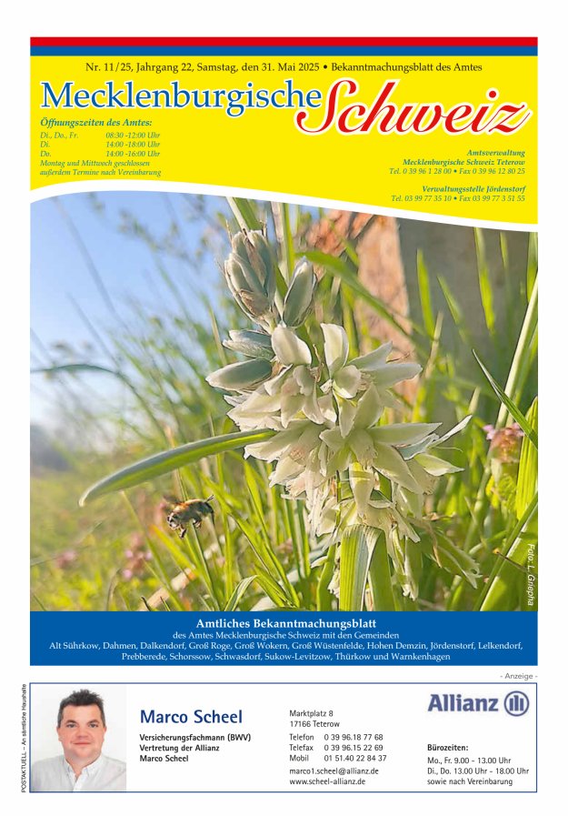 Bekanntmachungsblatt des Amtes Mecklenburgische Schweiz Titelblatt 11/2025