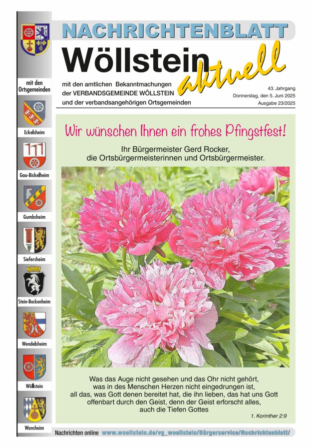 Nachrichtenblatt Wöllstein aktuell Titelblatt 23/2025
