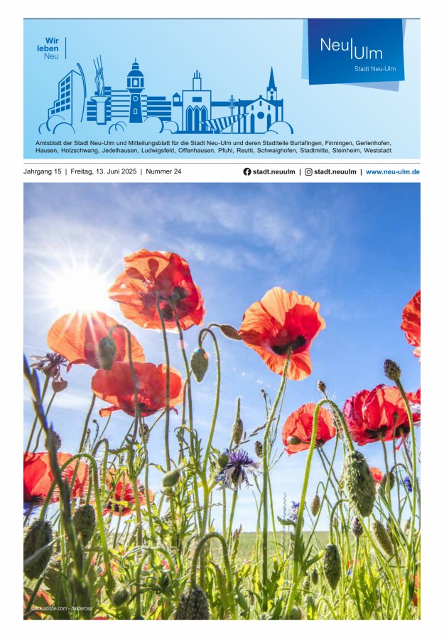 Amtsblatt der Stadt Neu-Ulm und Mitteilungsblatt für die Stadt Neu-Ulm Titelblatt 24/2025
