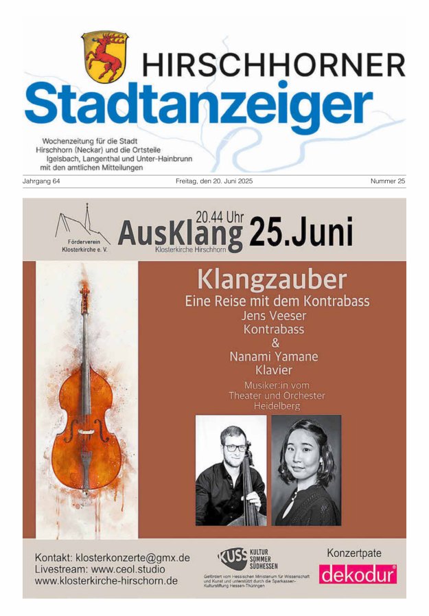Hirschhorner Stadtanzeiger Titelblatt 25/2025