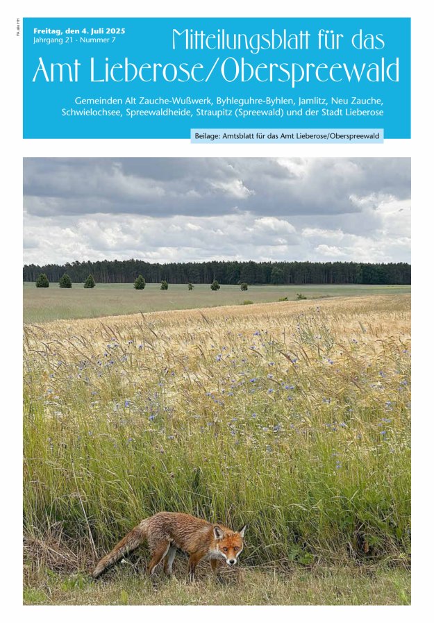 Mitteilungsblatt – Amtsblatt für das Amt Lieberose/Oberspreewald Titelblatt 07/2025