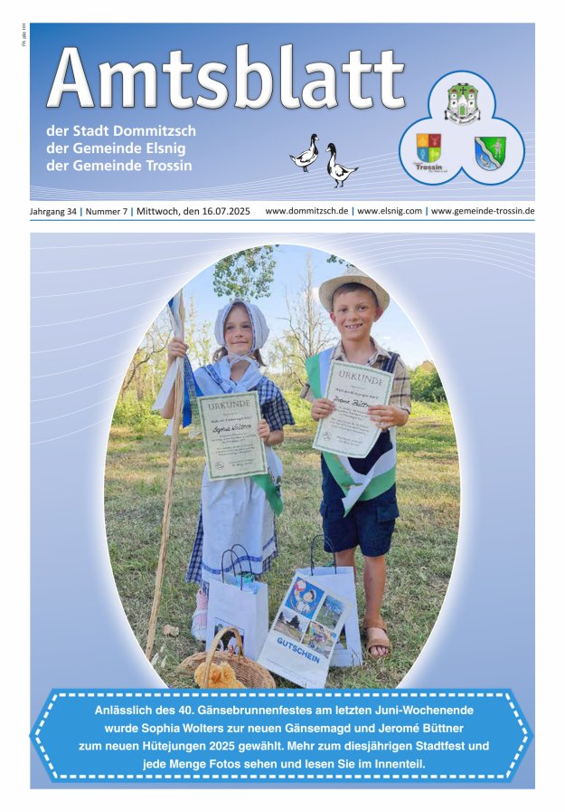 Dommitzsch Info - Amtsblatt der Stadt Dommitzsch der Gemeinden Elsnig und Trossin Titelblatt 07/2025