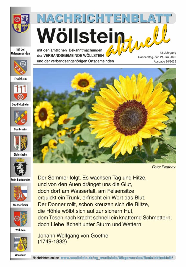 Nachrichtenblatt Wöllstein aktuell Titelblatt 30/2025